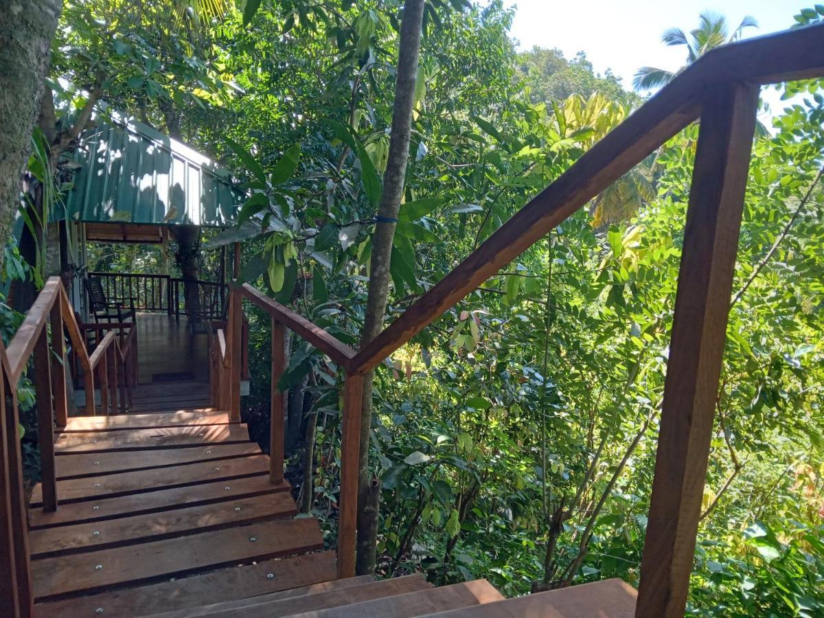 Cinnamon View Lodge Mirissa Eksteriør bilde