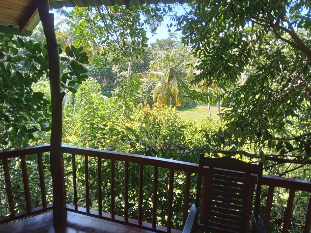 Cinnamon View Lodge Mirissa Eksteriør bilde